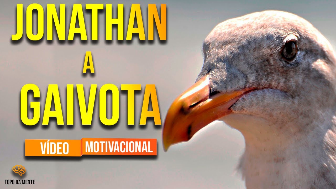 JONATHAN A GAIVOTA - EMOCIONANTE REFLEXÃO MOTIVACIONAL (vídeo motivacional) (motivação)