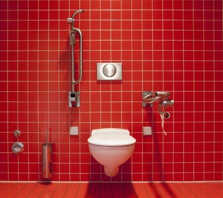 Quem Inventou o Vaso Sanitário? História e Curiosidades vaso sanitario