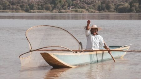 Peixe Estranho: Mistério que Surpreendeu um Pescador historia pescador