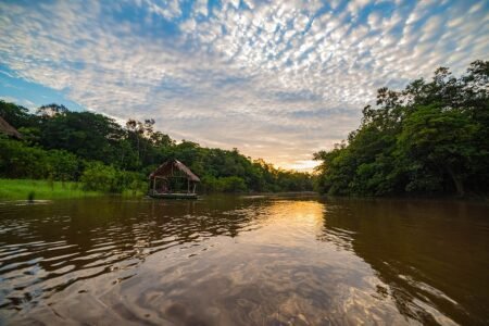Amazônia Desconhecida: Segredos Surpreendentes da Floresta amazonia