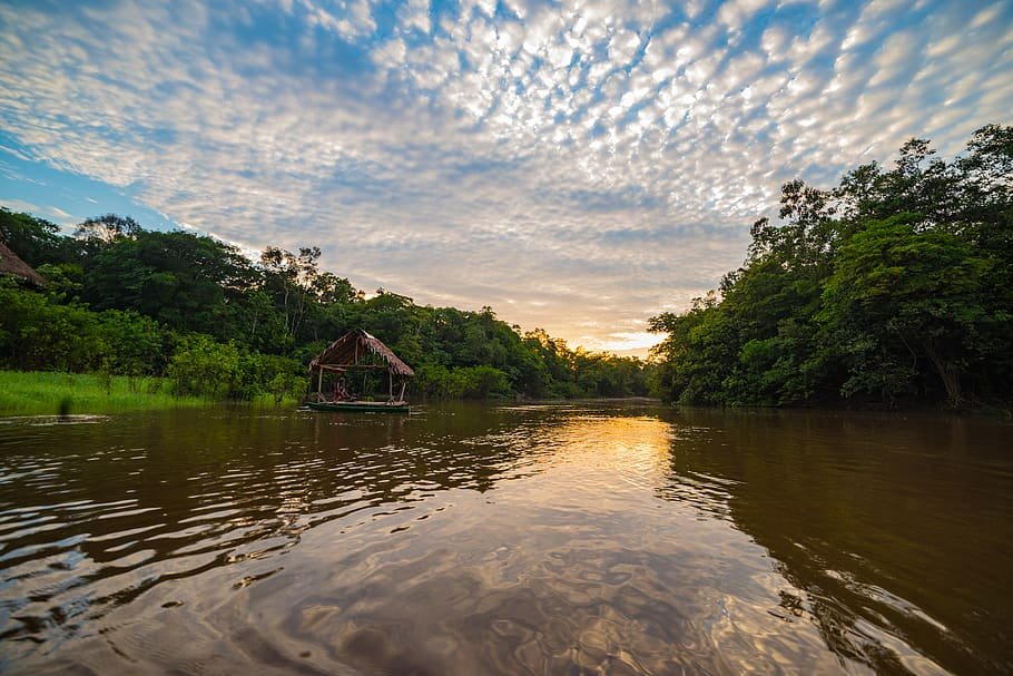 Amazônia Desconhecida: Segredos Surpreendentes da Floresta amazonia